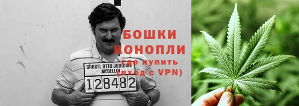 spice Сатка