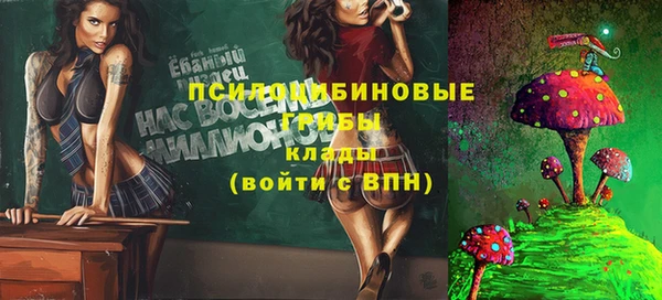 молекула духа Баксан