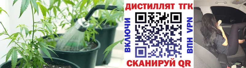 ТГК жижа  купить закладку  Новомичуринск 