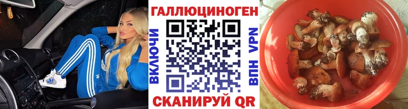 Галлюциногенные грибы Magic Shrooms  Новомичуринск 